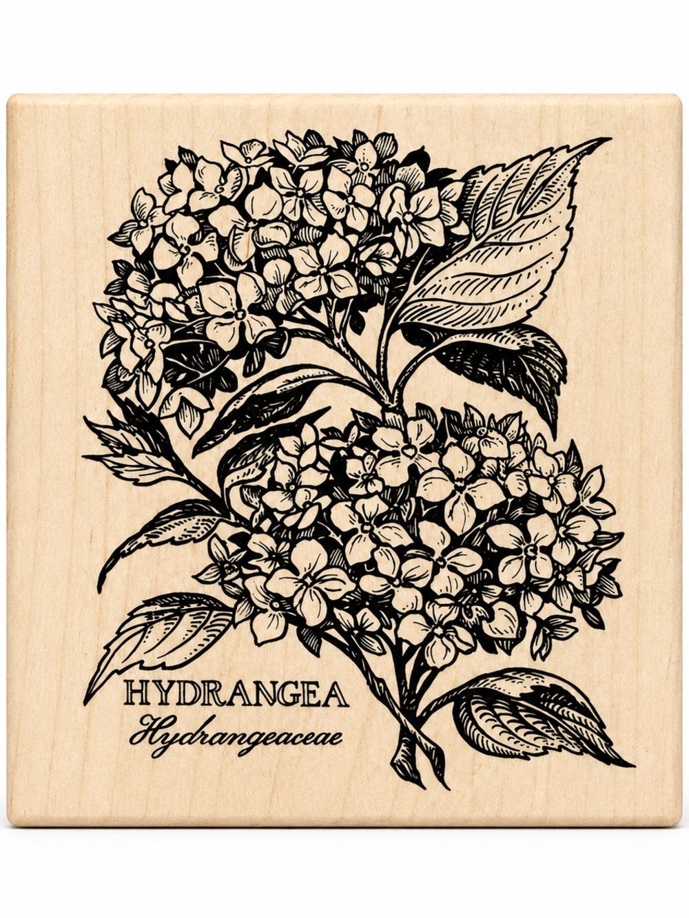 Vintage 1995 PSX Hydrangea Hydrangeaceae Wood Rubber Stamp